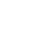 Our Vision