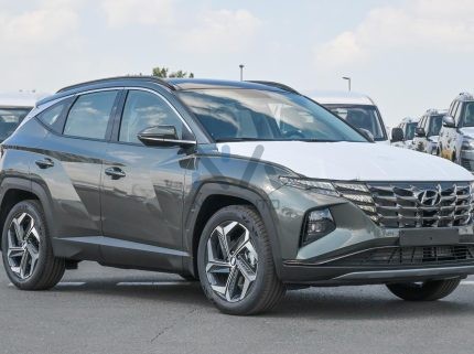 Hyundai Tucson 1.6L 2024 Grey Exterior Black Interior