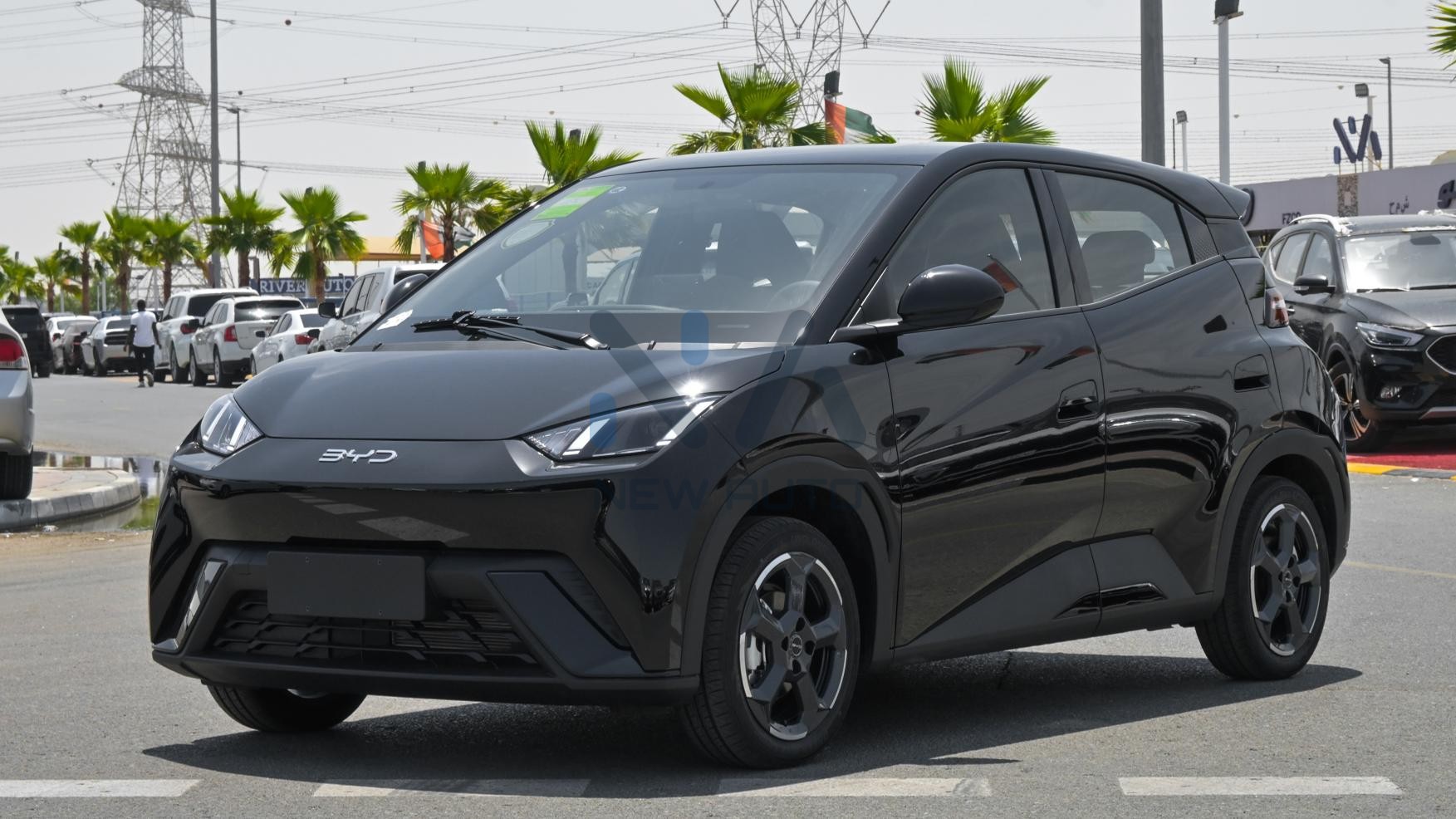 BYD Seagull Fly Edition 2024 (N-BYD-SE-FY-E-24)