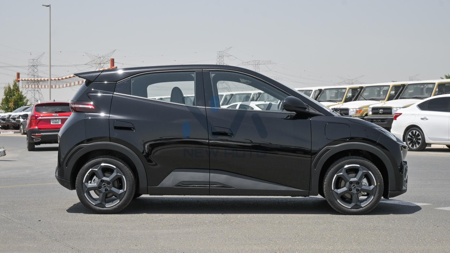 BYD Seagull Fly Edition 2024 (N-BYD-SE-FY-E-24)