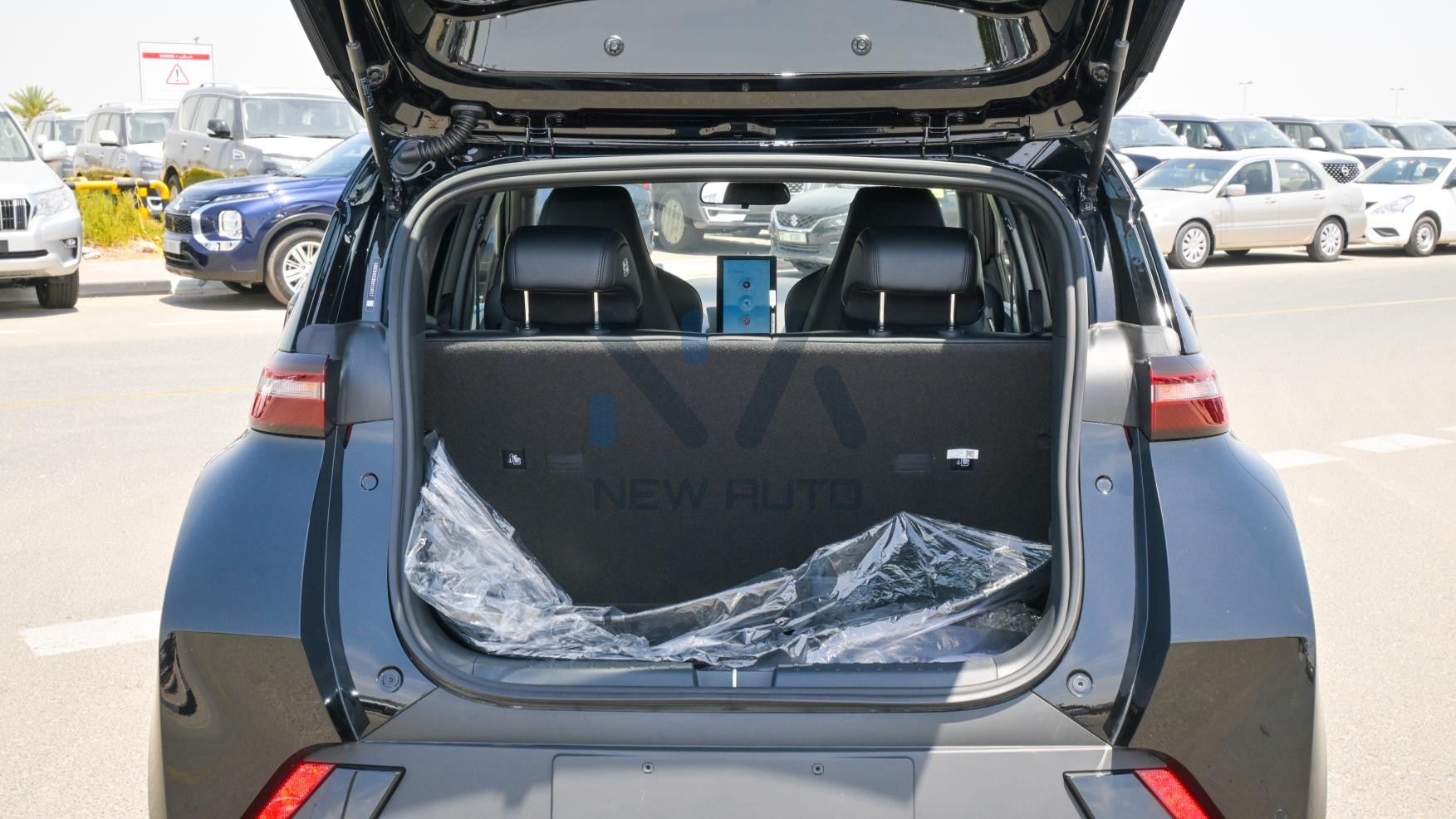 BYD Seagull Fly Edition 2024 (N-BYD-SE-FY-E-24)