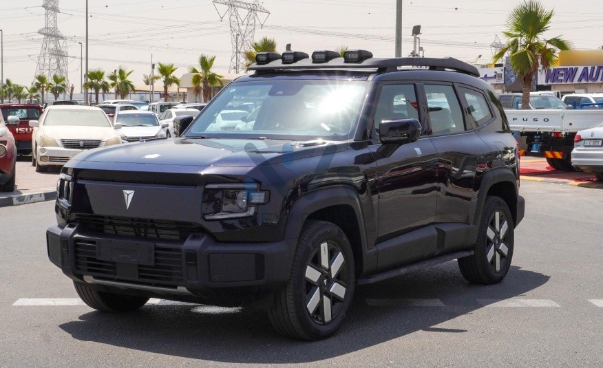 Changan Deepal (N-DEP-AS-1.5-24)