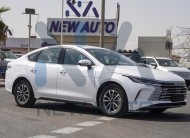 BYD Destroyer 05(N-BYD-LUX-H-E-25) White-Black 2025