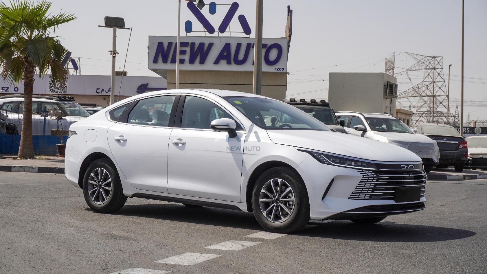 BYD Destroyer 05(N-BYD-LUX-H-E-25) White-Black 2025