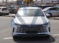 BYD Destroyer 05(N-BYD-LUX-H-E-25) White-Black 2025