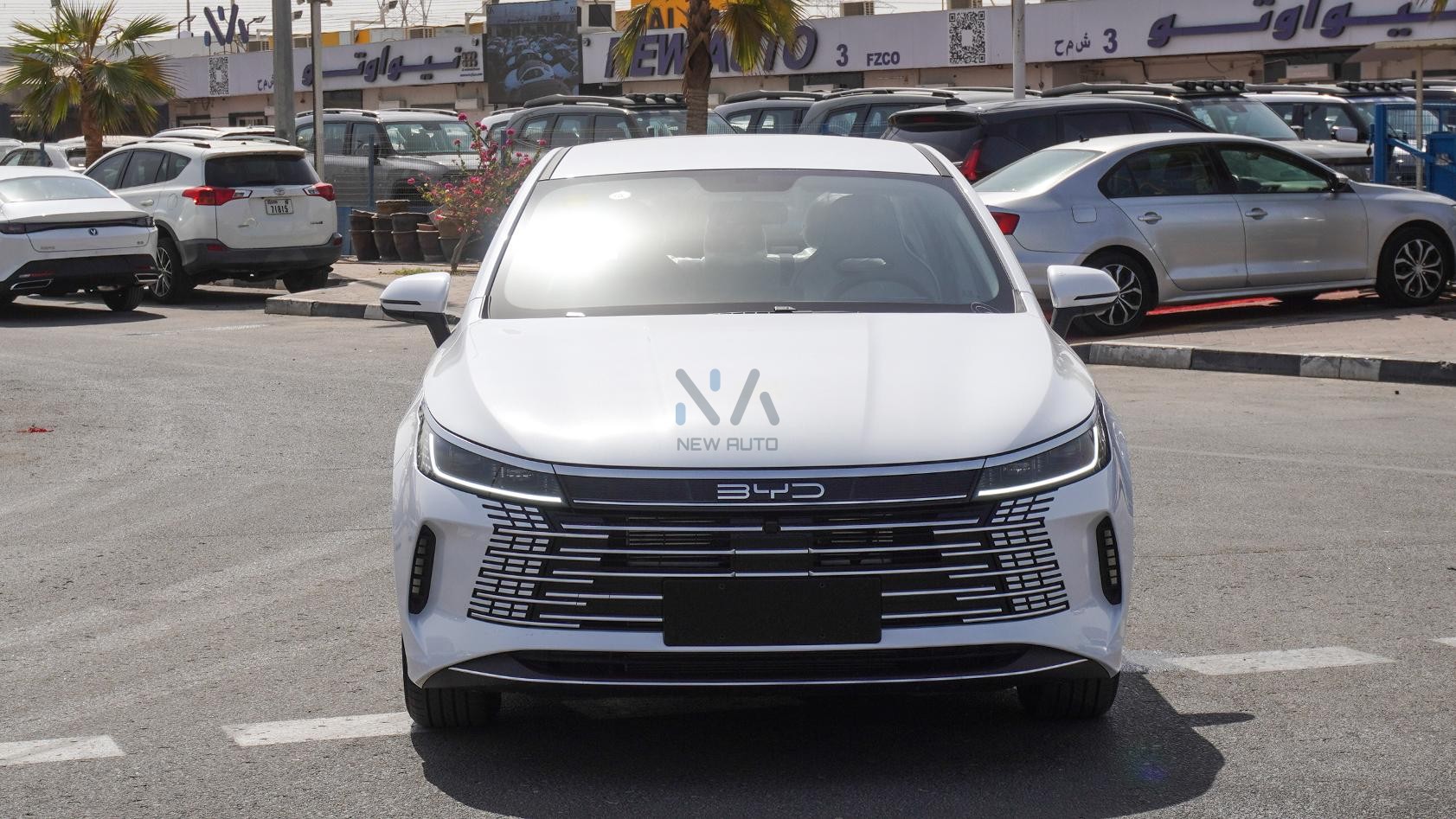 BYD Destroyer 05(N-BYD-LUX-H-E-25) White-Black 2025