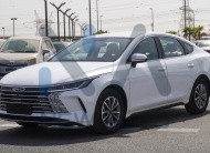 BYD Destroyer 05(N-BYD-LUX-H-E-25) White-Black 2025