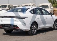 BYD Destroyer 05(N-BYD-LUX-H-E-25) White-Black 2025