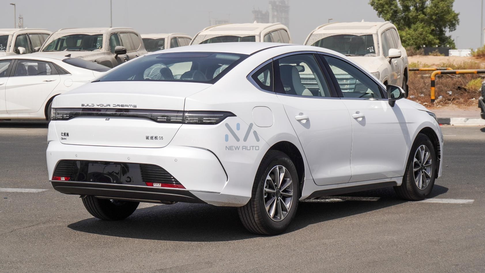 BYD Destroyer 05(N-BYD-LUX-H-E-25) White-Black 2025