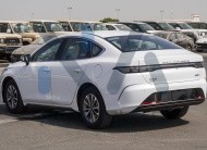 BYD Destroyer 05(N-BYD-LUX-H-E-25) White-Black 2025