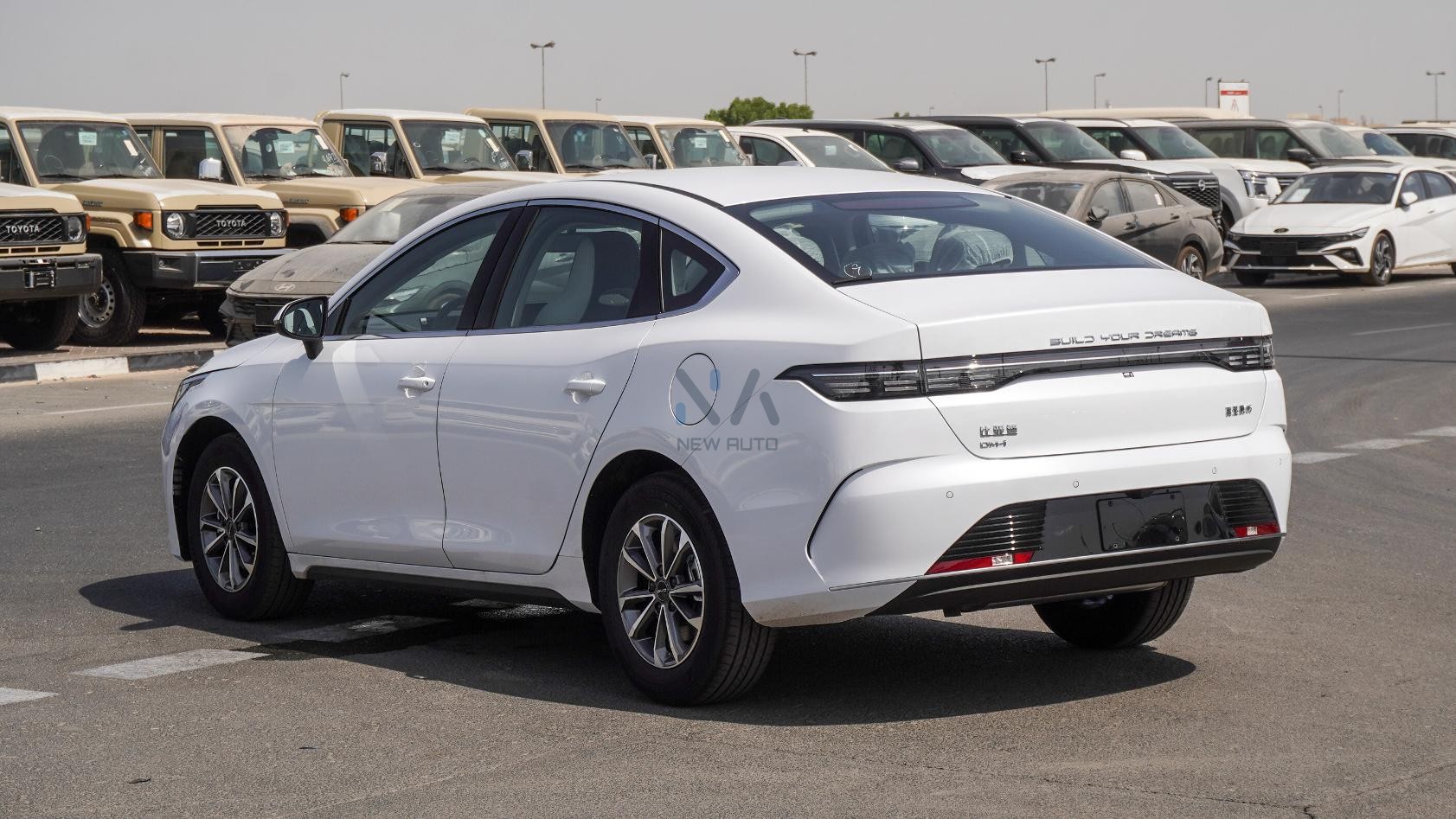 BYD Destroyer 05(N-BYD-LUX-H-E-25) White-Black 2025