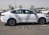 BYD Destroyer 05(N-BYD-LUX-H-E-25) White-Black 2025