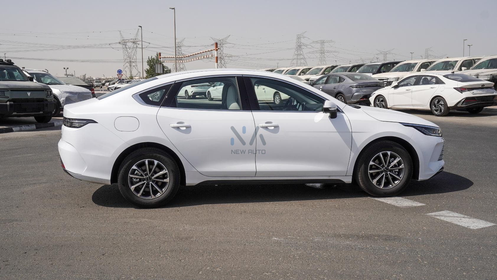 BYD Destroyer 05(N-BYD-LUX-H-E-25) White-Black 2025