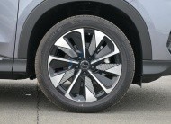 BYD SONG PLUS 2024(N-SONG-PLUS-E-24) Grey-Grey 2024