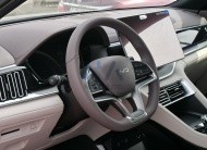 BYD SONG PLUS 2024(N-SONG-PLUS-E-24) Grey-Grey 2024