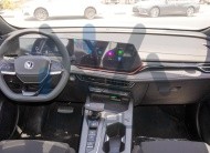 CHANGAN  (N-X5-PLUS-24-1.5) White – Black & Red 2024