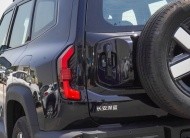 Changan Deepal G318 Air Suspension (N-DEP-AS-1.5-24)Black-Black 2024