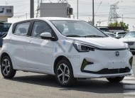 Changan BENBEN E-Star -White-Blue- 2023