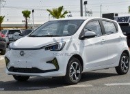 Changan Ben Ben E-Star White Grey 2023