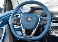 Changan Ben Ben E-Star White Grey 2023