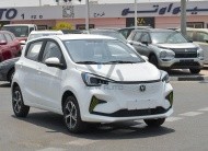 Changan Ben Ben E-Star White Grey 2023
