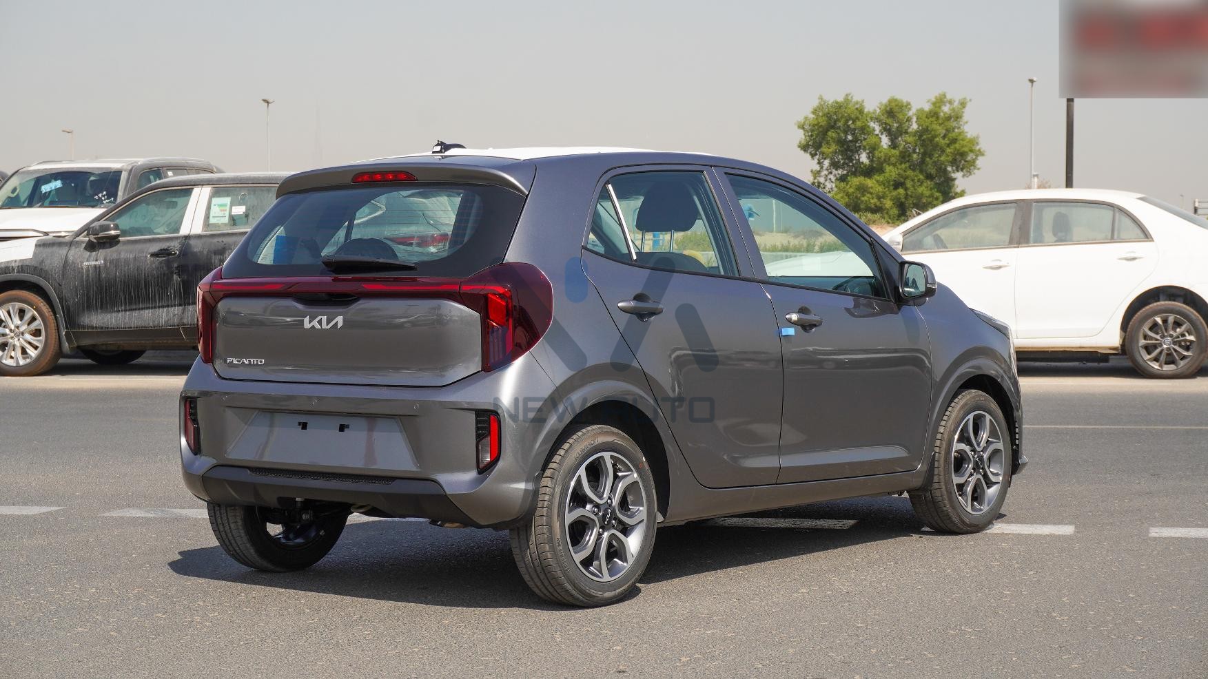 Kia Picanto (N-PIC-1.2-P-25) Grey Black 2025