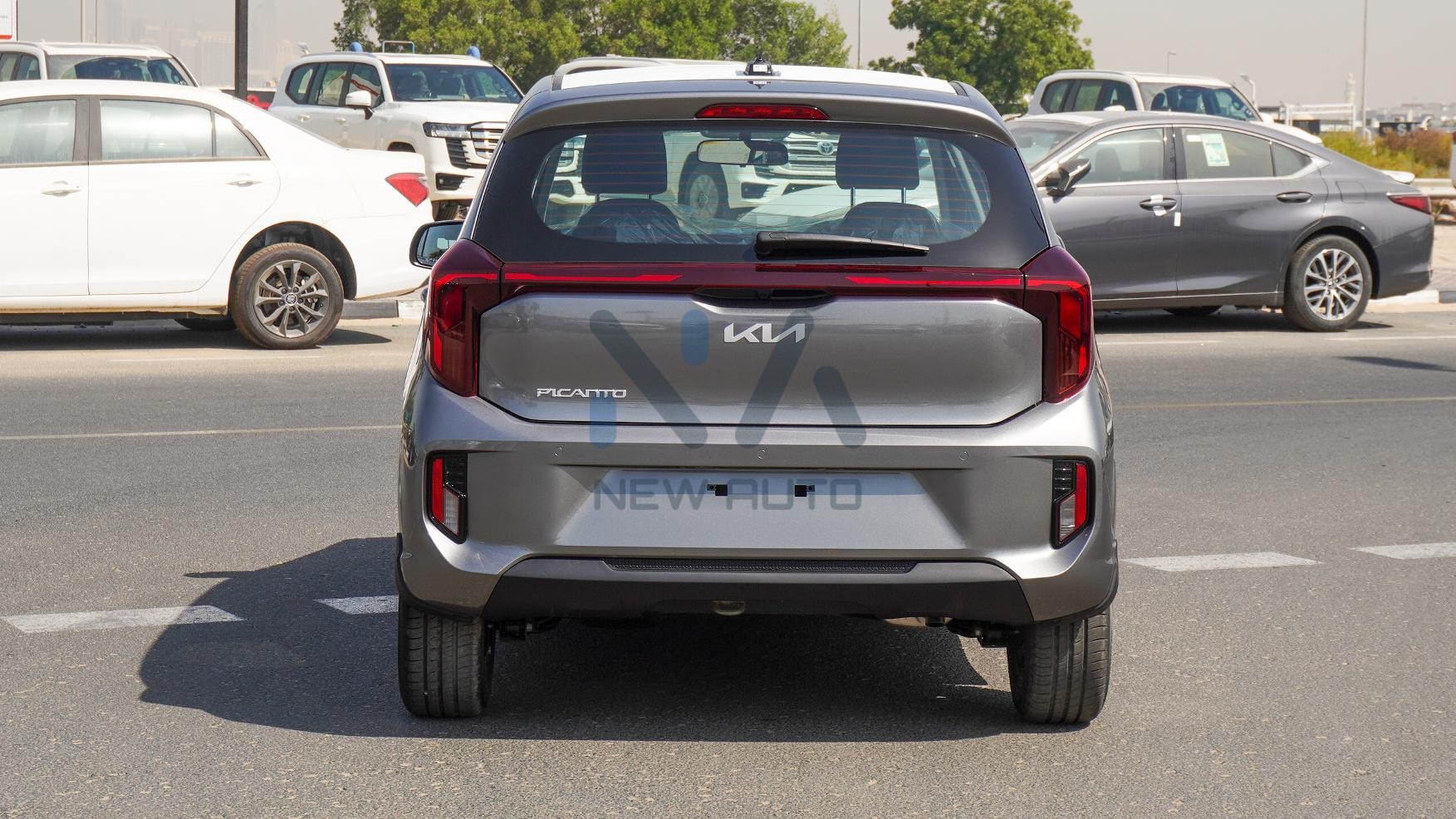 Kia Picanto (N-PIC-1.2-P-25) Grey Black 2025