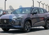 MG One Deluxe (N-DEL-ONE-1.5-24)Grey – Black 2024