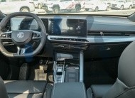 MG One Deluxe(N-DEL-ONE-1.5-24) Black – Black-2024