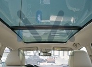 MG RX5 Plus Deluxe Grey – Beige 2024