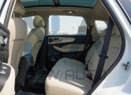 MG RX5 Plus Deluxe White – Beige 2025