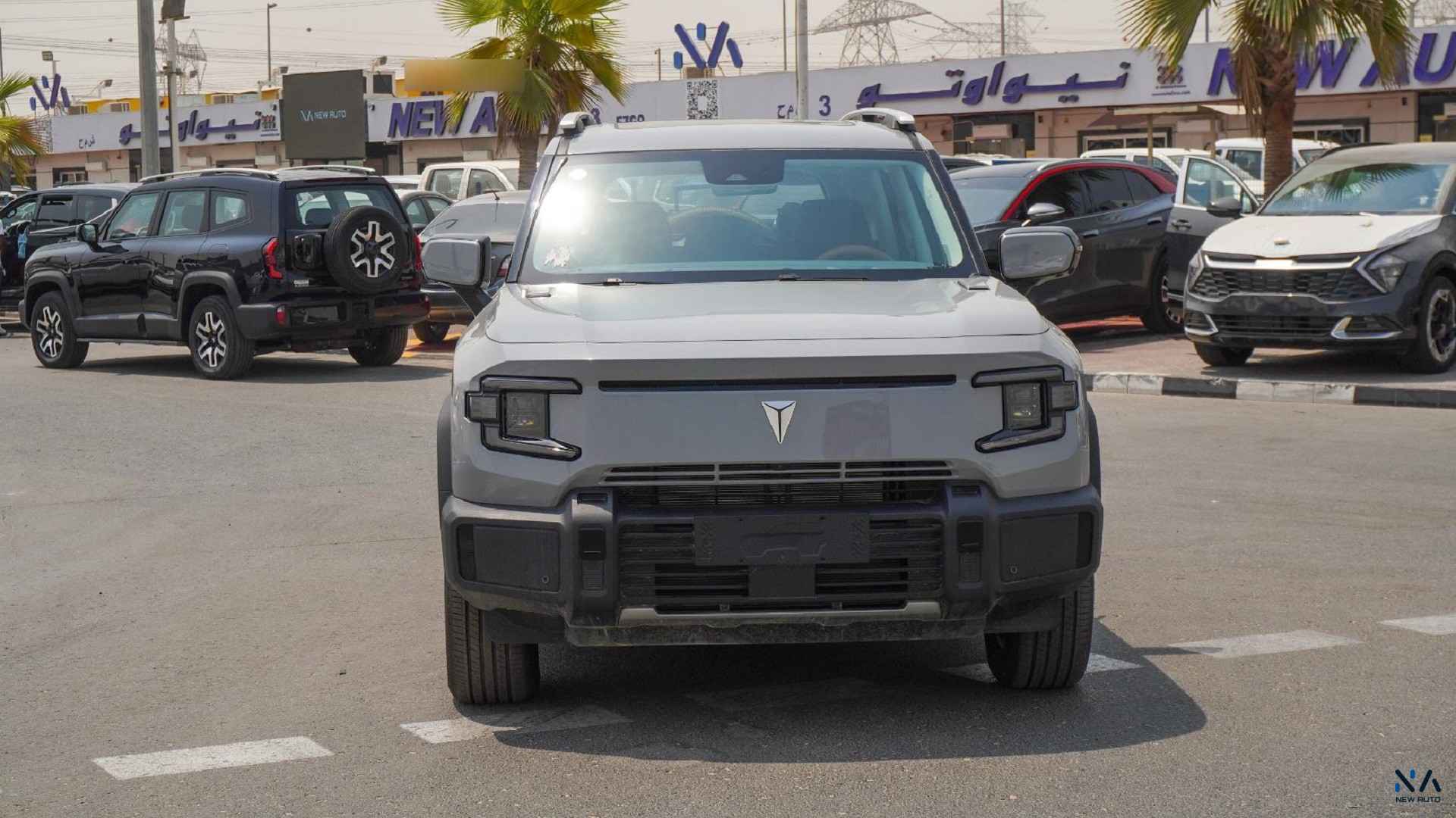 Changan Deepal Air Comfort (N-DEP-AC-1.5-24) Silver – Blue 2024