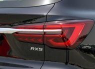 MG RX5 Plus Deluxe (N-RX5-DEL-1.5-25) Black – Beige 2025