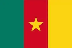 Cameroon flag image